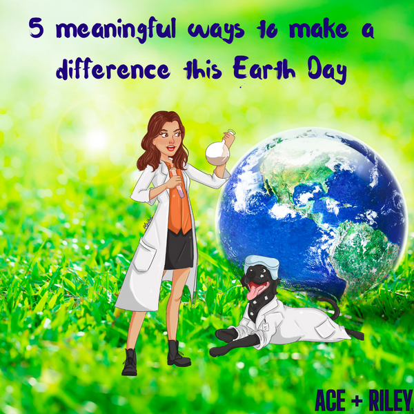5 meaningful ways to make a difference this Earth Day